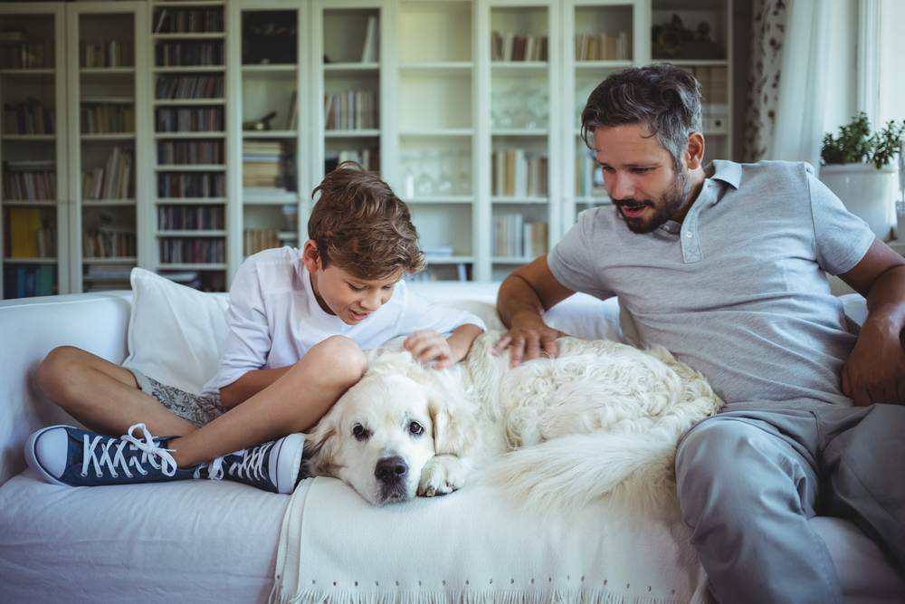 Father and son sitting on sofa with pet dog in living room at home